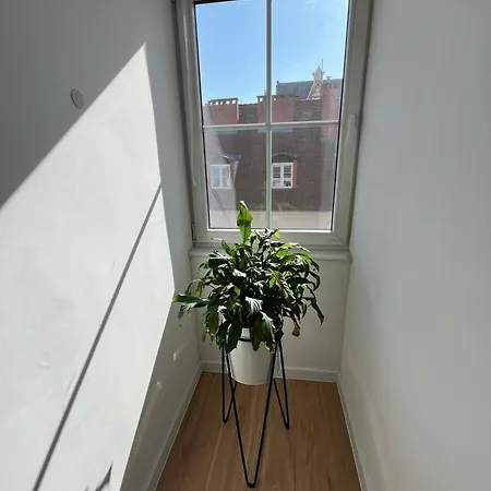 Modern 46m2 Ac 100m From Stary Rynek Center Kramarska 21 Apartment *