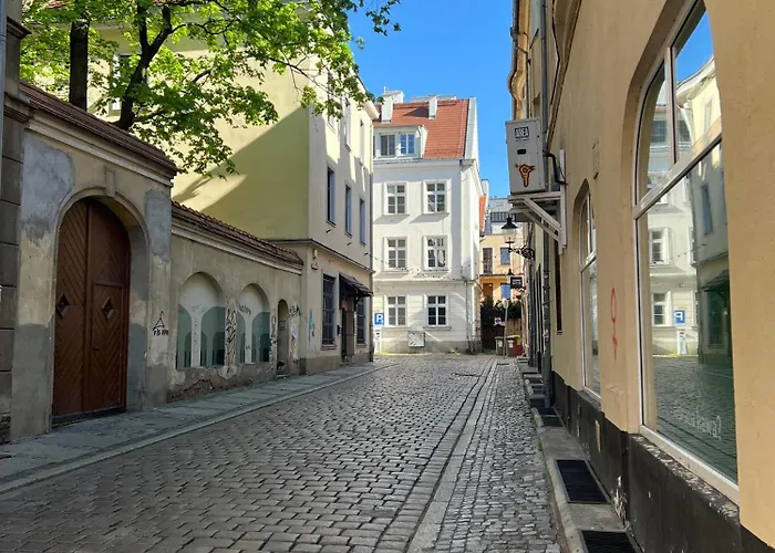 Modern 46m2 Ac 100m From Stary Rynek Center Kramarska 21 Apartament *