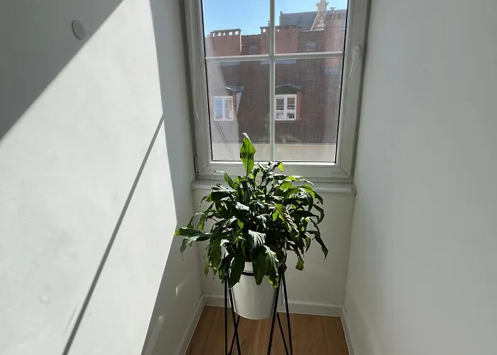 Modern 46m2 Ac 100m From Stary Rynek Center Kramarska 21 Apartament *