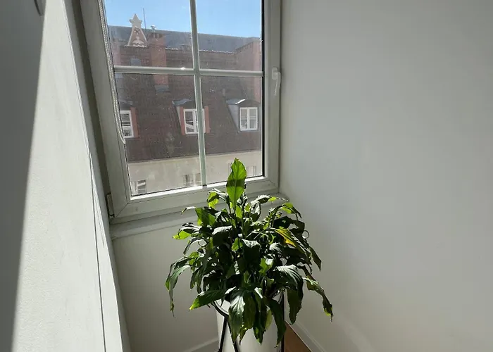 Modern 46m2 Ac 100m From Stary Rynek Center Kramarska 21 * Poznań