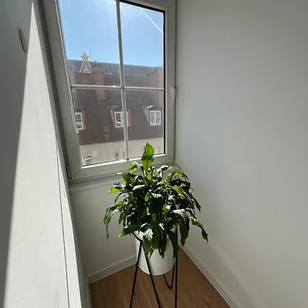Modern 46m2 Ac 100m From Stary Rynek Center Kramarska 21 * بوزنان