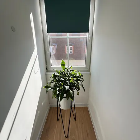 شقة Modern 46m2 Ac 100m From Stary Rynek Center Kramarska 21